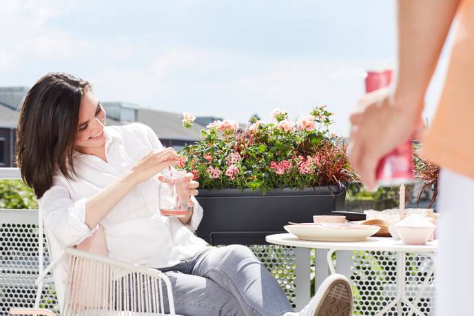 barcelona xl allin1 55cm anthracite